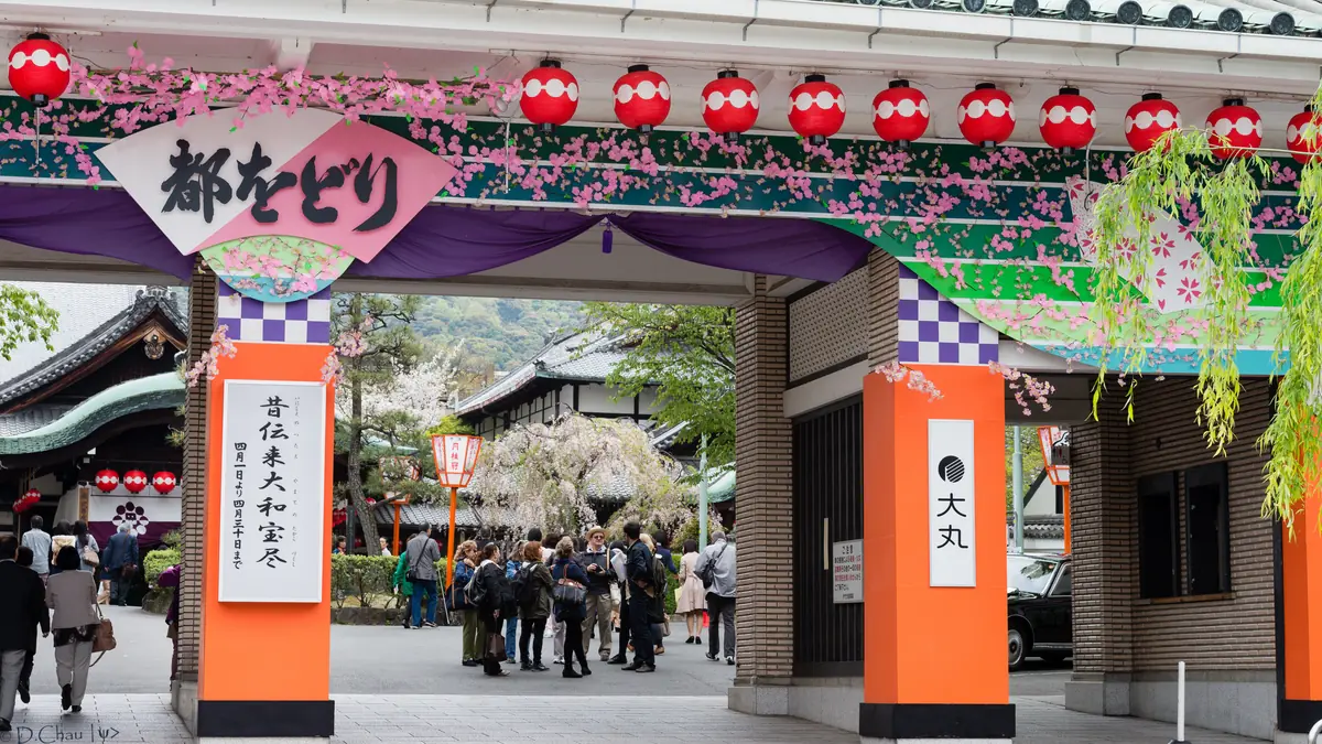 La entrada decorada del teatro Kaburen-jo en Gion durante el Miyako Odori, con farolillos rojos, guirnaldas de flores de cerezo rosas y una multitud de visitantes