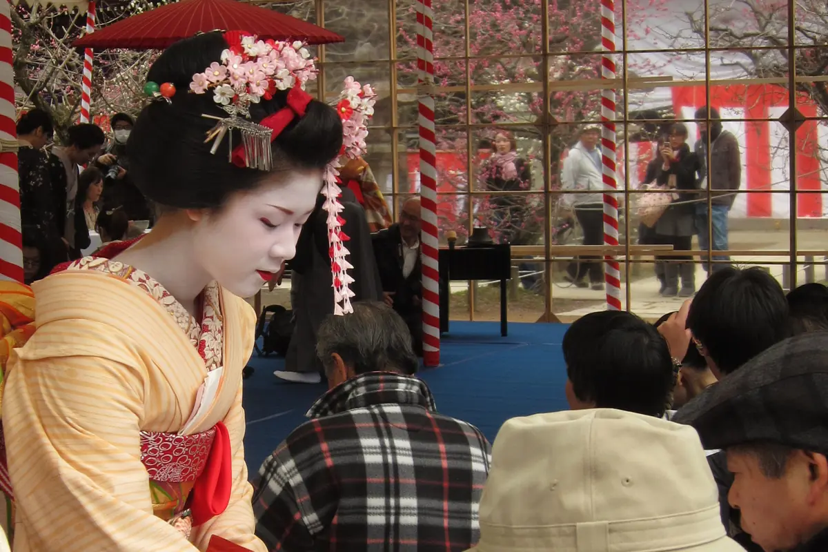 在北野天满宫，一位身着黄色条纹和服、头戴粉色花朵发饰的舞妓，将茶碗放在白色桌面上，呈于一位戴着遮阳帽端坐的游客面前