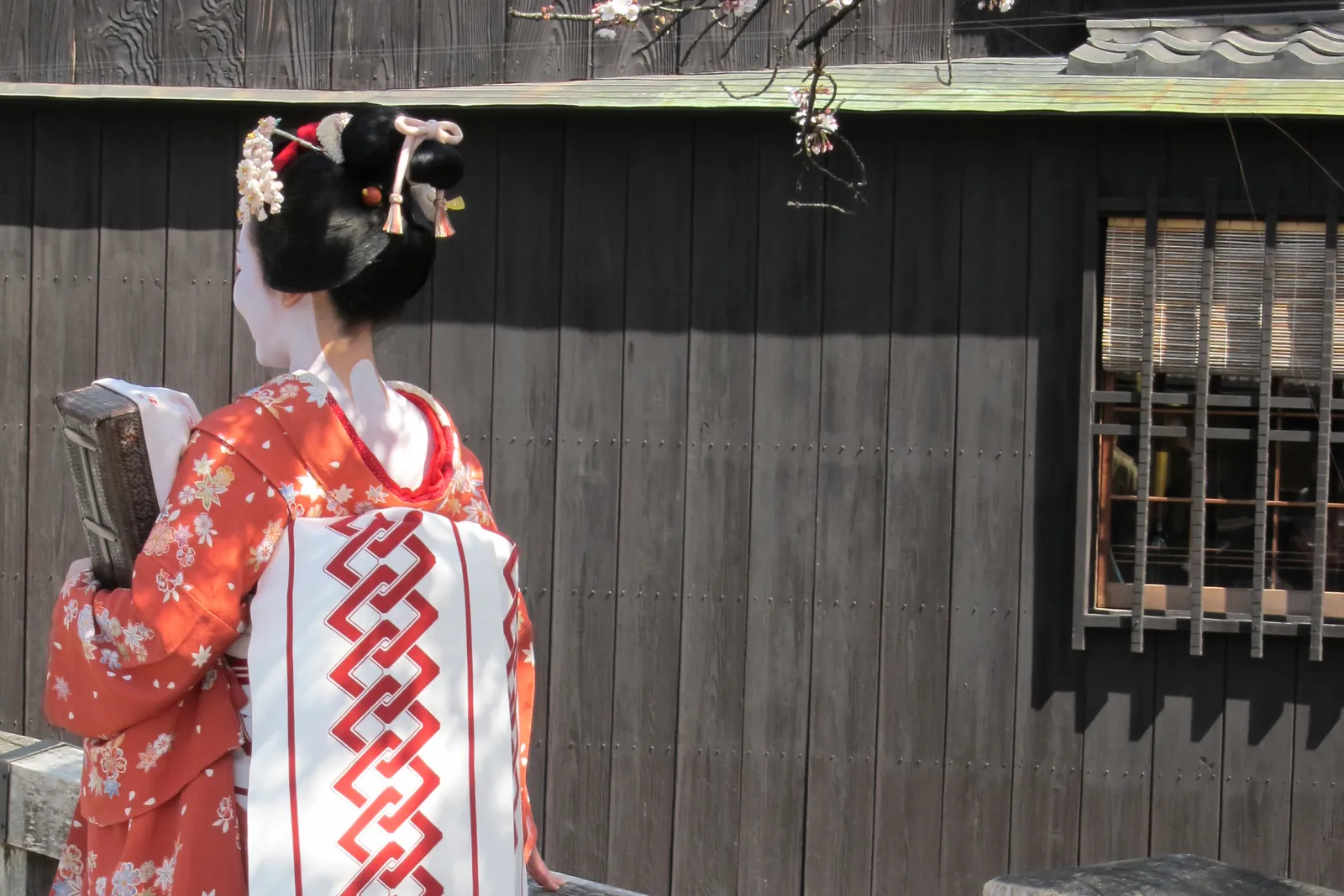 Žena oblečená jako maiko, pohled zezadu, v oranžovém květinovém kimonu a dlouhém bílém obi, vedle dřevěného zábradlí mostu v Gionu; návštěvnice v kostýmu, nikoli pracující maiko